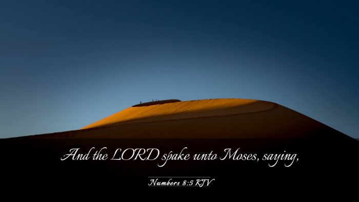Picture 03 - Numbers 8:5 KJV Desktop Wallpaper - And the LORD spake unto Moses, - Desktop Bible Verse Wallpaper