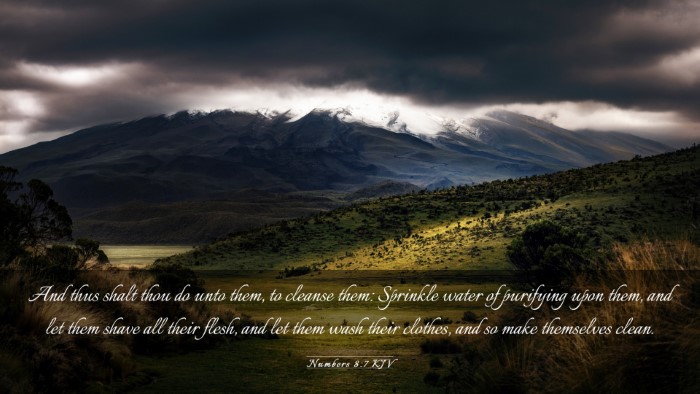 Picture 03 - Numbers 8:7 KJV Desktop Wallpaper - And thus shalt thou do unto them, to cleanse - Desktop Bible Verse Wallpaper