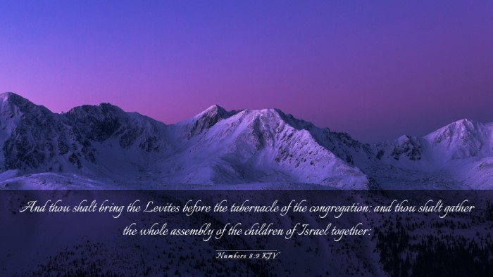 Picture 03 - Numbers 8:9 KJV Desktop Wallpaper - And thou shalt bring the Levites before the - Desktop Bible Verse Wallpaper