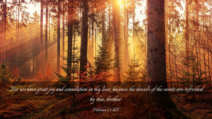 Picture 03 - Philemon 1:7 KJV Desktop Wallpaper - For we have great joy and consolation in thy - Desktop Bible Verse Wallpaper