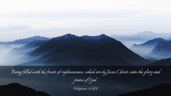Picture 03 - Philippians 1:11 KJV Desktop Wallpaper - Being filled with the fruits of righteousness, - Desktop Bible Verse Wallpaper