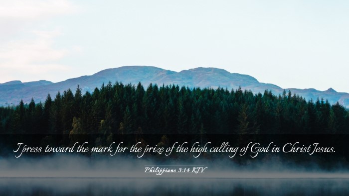 Picture 03 - Philippians 3:14 KJV Desktop Wallpaper - I press toward the mark for the prize of the high - Desktop Bible Verse Wallpaper