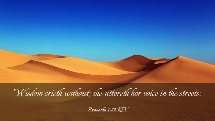 Picture 03 - Proverbs 1:20 KJV Desktop Wallpaper - Wisdom crieth without; she uttereth her voice in - Desktop Bible Verse Wallpaper