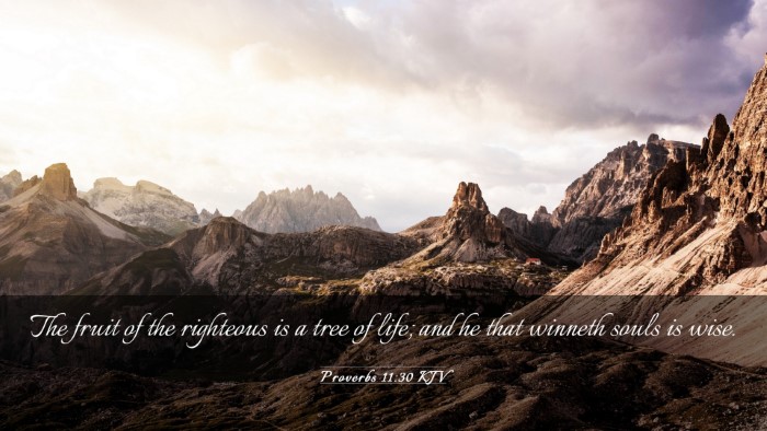 Picture 03 - Proverbs 11:30 KJV Desktop Wallpaper - The fruit of the righteous is a tree of life; and - Desktop Bible Verse Wallpaper
