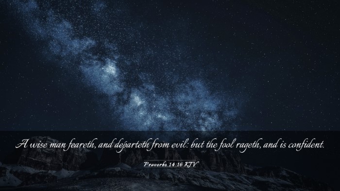 Picture 03 - Proverbs 14:16 KJV Desktop Wallpaper - A wise man feareth, and departeth from evil: but - Desktop Bible Verse Wallpaper
