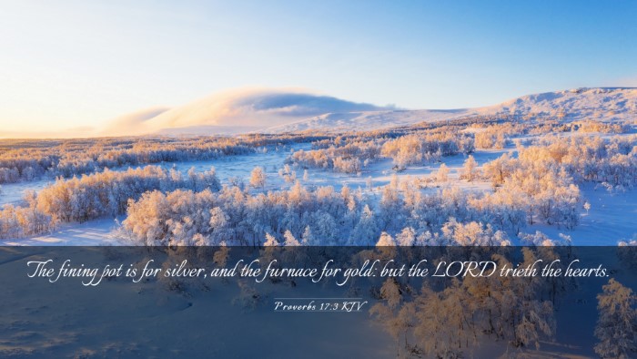 Picture 03 - Proverbs 17:3 KJV Desktop Wallpaper - The fining pot is for silver, and the furnace for - Desktop Bible Verse Wallpaper