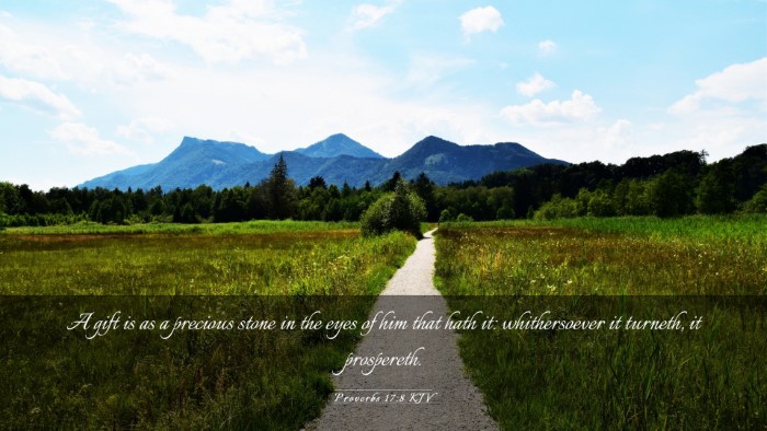 Picture 03 - Proverbs 17:8 KJV Desktop Wallpaper - A gift is as a precious stone in the eyes of him - Desktop Bible Verse Wallpaper