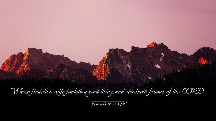 Picture 03 - Proverbs 18:22 KJV Desktop Wallpaper - Whoso findeth a wife findeth a good thing, and - Desktop Bible Verse Wallpaper