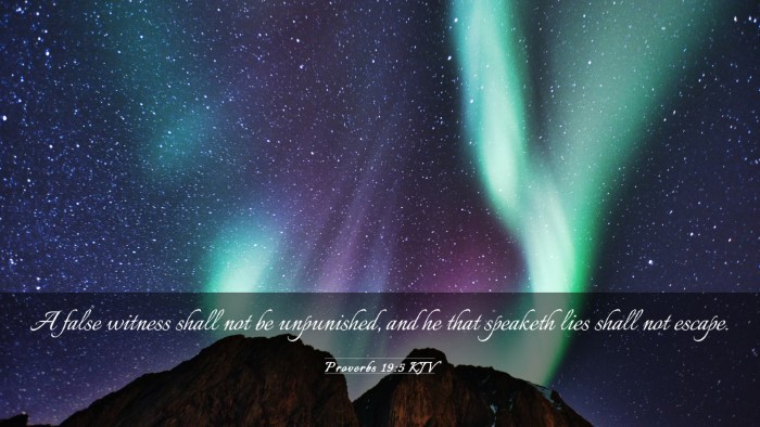 Picture 03 - Proverbs 19:5 KJV Desktop Wallpaper - A false witness shall not be unpunished, and he - Desktop Bible Verse Wallpaper