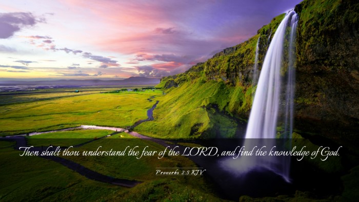 Picture 03 - Proverbs 2:5 KJV Desktop Wallpaper - Then shalt thou understand the fear of the LORD, - Desktop Bible Verse Wallpaper
