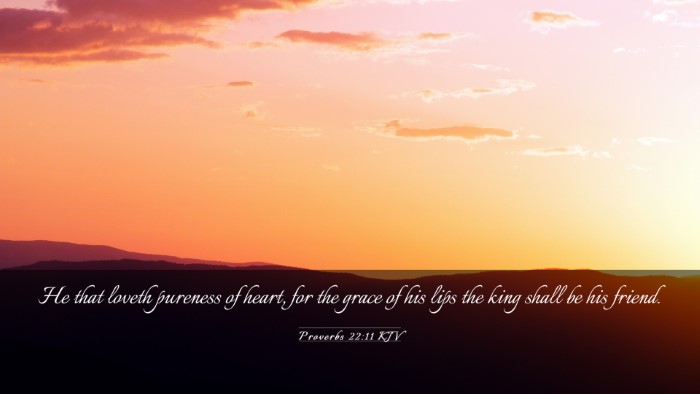 Picture 03 - Proverbs 22:11 KJV Desktop Wallpaper - He that loveth pureness of heart, for the grace - Desktop Bible Verse Wallpaper