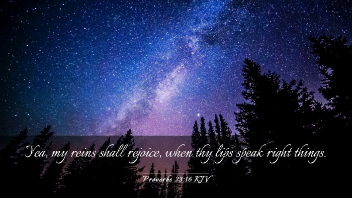 Picture 03 - Proverbs 23:16 KJV Desktop Wallpaper - Yea, my reins shall rejoice, when thy lips speak - Desktop Bible Verse Wallpaper