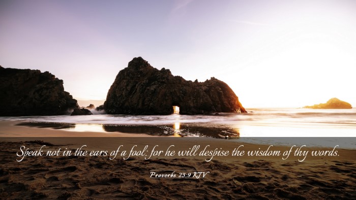 Picture 03 - Proverbs 23:9 KJV Desktop Wallpaper - Speak not in the ears of a fool: for he will - Desktop Bible Verse Wallpaper