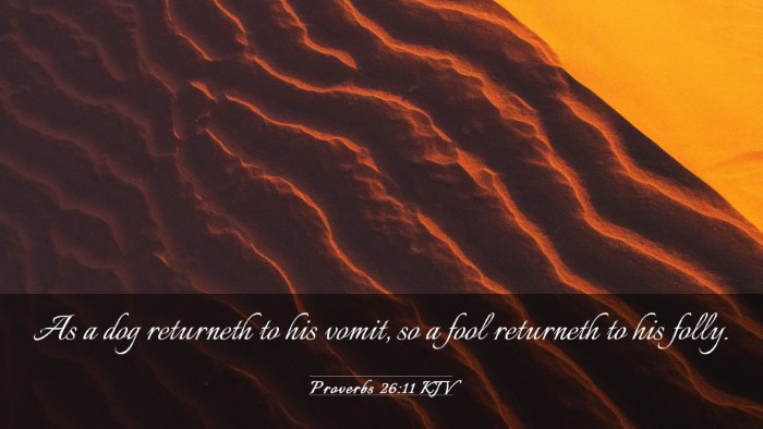 Picture 03 - Proverbs 26:11 KJV Desktop Wallpaper - As a dog returneth to his vomit, so a fool - Desktop Bible Verse Wallpaper
