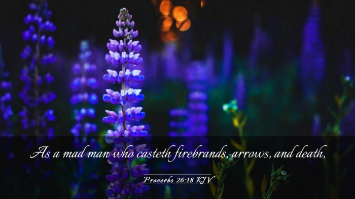 Picture 03 - Proverbs 26:18 KJV Desktop Wallpaper - As a mad man who casteth firebrands, arrows, and - Desktop Bible Verse Wallpaper
