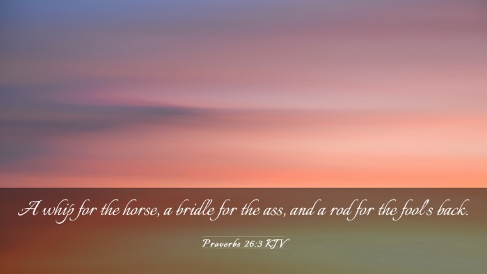 Picture 03 - Proverbs 26:3 KJV Desktop Wallpaper - A whip for the horse, a bridle for the ass, and a - Desktop Bible Verse Wallpaper