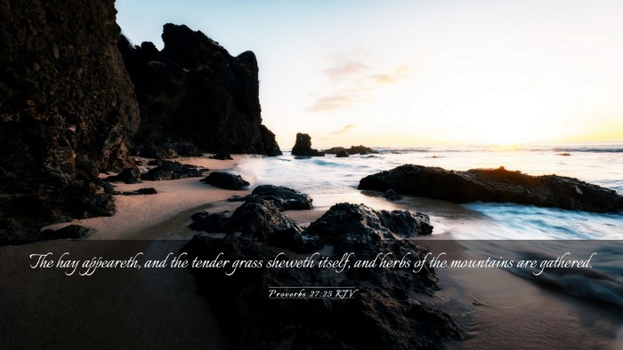 Picture 03 - Proverbs 27:25 KJV Desktop Wallpaper - The hay appeareth, and the tender grass sheweth - Desktop Bible Verse Wallpaper