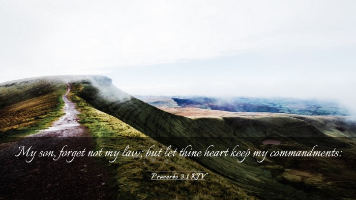 Picture 03 - Proverbs 3:1 KJV Desktop Wallpaper - My son, forget not my law; but let thine heart - Desktop Bible Verse Wallpaper