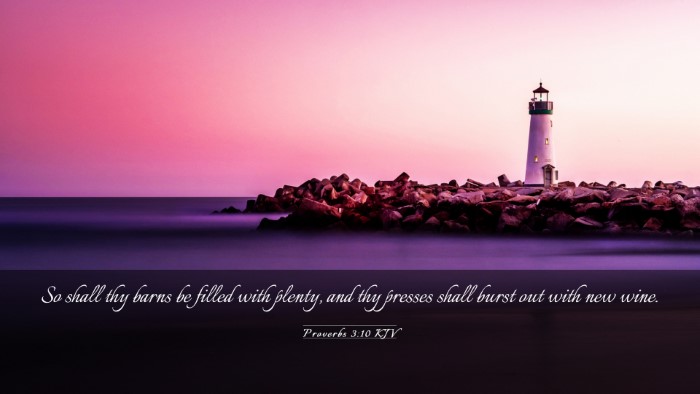 Picture 03 - Proverbs 3:10 KJV Desktop Wallpaper - So shall thy barns be filled with plenty, and thy - Desktop Bible Verse Wallpaper