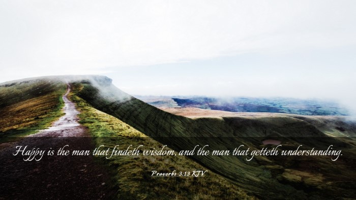 Picture 03 - Proverbs 3:13 KJV Desktop Wallpaper - Happy is the man that findeth wisdom, and the man - Desktop Bible Verse Wallpaper