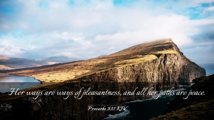 Picture 03 - Proverbs 3:17 KJV Desktop Wallpaper - Her ways are ways of pleasantness, and all her - Desktop Bible Verse Wallpaper