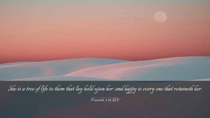 Picture 03 - Proverbs 3:18 KJV Desktop Wallpaper - She is a tree of life to them that lay hold upon - Desktop Bible Verse Wallpaper