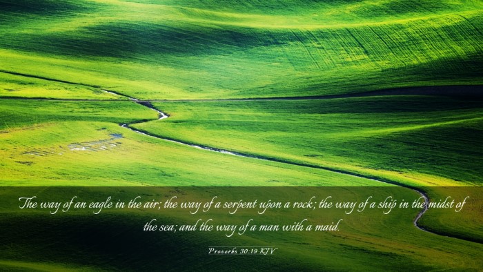 Picture 03 - Proverbs 30:19 KJV Desktop Wallpaper - The way of an eagle in the air; the way of a - Desktop Bible Verse Wallpaper