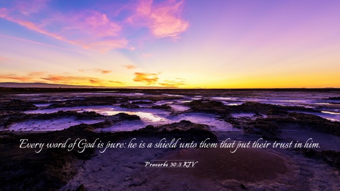 Picture 03 - Proverbs 30:5 KJV Desktop Wallpaper - Every word of God is pure: he is a shield unto - Desktop Bible Verse Wallpaper