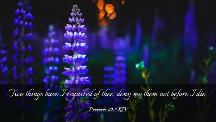 Picture 03 - Proverbs 30:7 KJV Desktop Wallpaper - Two things have I required of thee; deny me them - Desktop Bible Verse Wallpaper
