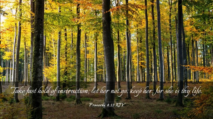 Picture 03 - Proverbs 4:13 KJV Desktop Wallpaper - Take fast hold of instruction; let her not go: - Desktop Bible Verse Wallpaper
