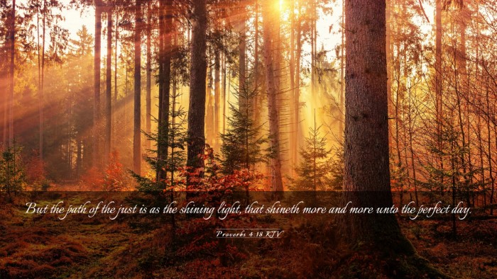 Picture 03 - Proverbs 4:18 KJV Desktop Wallpaper - But the path of the just is as the shining light, - Desktop Bible Verse Wallpaper