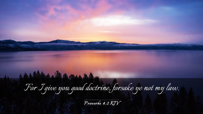 Picture 03 - Proverbs 4:2 KJV Desktop Wallpaper - For I give you good doctrine, forsake ye not my - Desktop Bible Verse Wallpaper