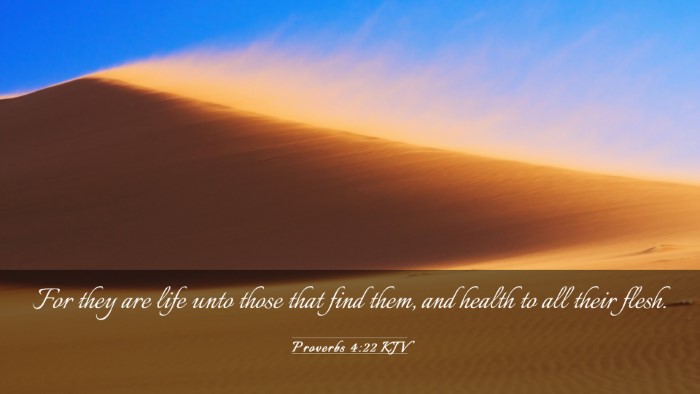 Picture 03 - Proverbs 4:22 KJV Desktop Wallpaper - For they are life unto those that find them, and - Desktop Bible Verse Wallpaper