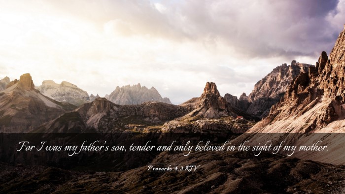 Picture 03 - Proverbs 4:3 KJV Desktop Wallpaper - For I was my father's son, tender and only - Desktop Bible Verse Wallpaper
