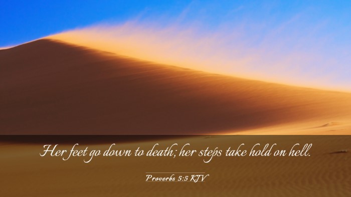 Picture 03 - Proverbs 5:5 KJV Desktop Wallpaper - Her feet go down to death; her steps take hold on - Desktop Bible Verse Wallpaper