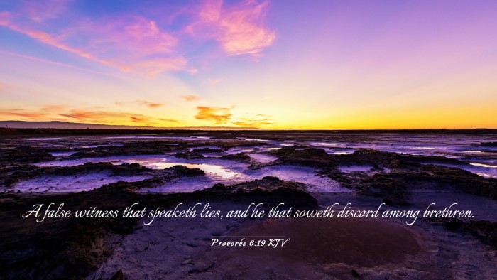 Picture 03 - Proverbs 6:19 KJV Desktop Wallpaper - A false witness that speaketh lies, and he that - Desktop Bible Verse Wallpaper