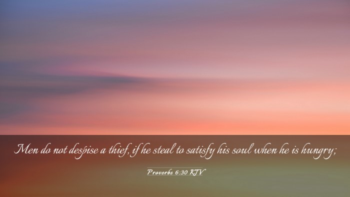 Picture 03 - Proverbs 6:30 KJV Desktop Wallpaper - Men do not despise a thief, if he steal to - Desktop Bible Verse Wallpaper