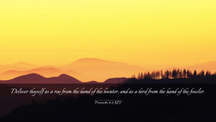Picture 03 - Proverbs 6:5 KJV Desktop Wallpaper - Deliver thyself as a roe from the hand of the - Desktop Bible Verse Wallpaper