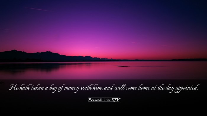 Picture 03 - Proverbs 7:20 KJV Desktop Wallpaper - He hath taken a bag of money with him, and will - Desktop Bible Verse Wallpaper