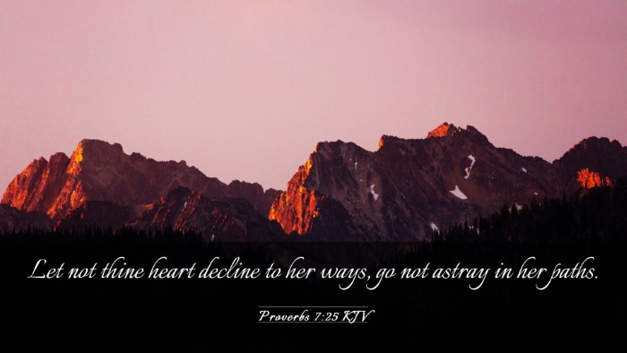 Picture 03 - Proverbs 7:25 KJV Desktop Wallpaper - Let not thine heart decline to her ways, go not - Desktop Bible Verse Wallpaper