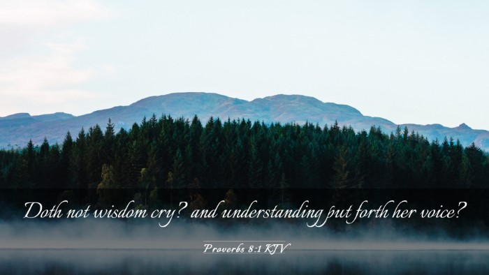 Picture 03 - Proverbs 8:1 KJV Desktop Wallpaper - Doth not wisdom cry? and understanding put forth - Desktop Bible Verse Wallpaper