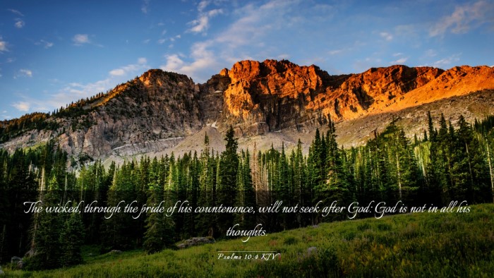Picture 03 - Psalms 10:4 KJV Desktop Wallpaper - The wicked, through the pride of his countenance, - Desktop Bible Verse Wallpaper
