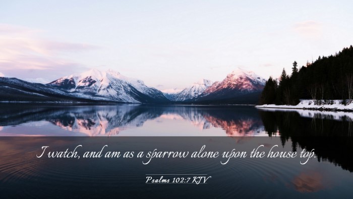 Picture 03 - Psalms 102:7 KJV Desktop Wallpaper - I watch, and am as a sparrow alone upon the house - Desktop Bible Verse Wallpaper