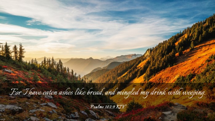 Picture 03 - Psalms 102:9 KJV Desktop Wallpaper - For I have eaten ashes like bread, and mingled my - Desktop Bible Verse Wallpaper