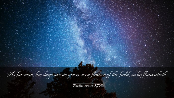 Picture 03 - Psalms 103:15 KJV Desktop Wallpaper - As for man, his days are as grass: as a flower of - Desktop Bible Verse Wallpaper