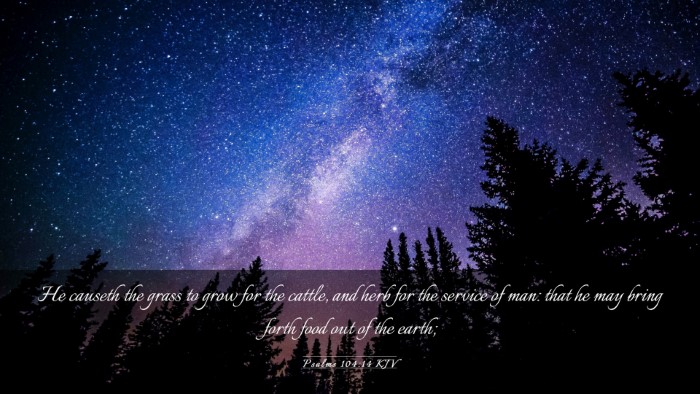 Picture 03 - Psalms 104:14 KJV Desktop Wallpaper - He causeth the grass to grow for the cattle, and - Desktop Bible Verse Wallpaper