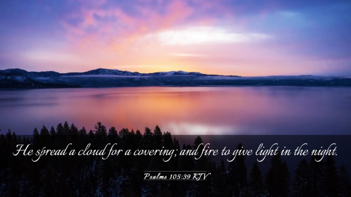 Picture 03 - Psalms 105:39 KJV Desktop Wallpaper - He spread a cloud for a covering; and fire to - Desktop Bible Verse Wallpaper