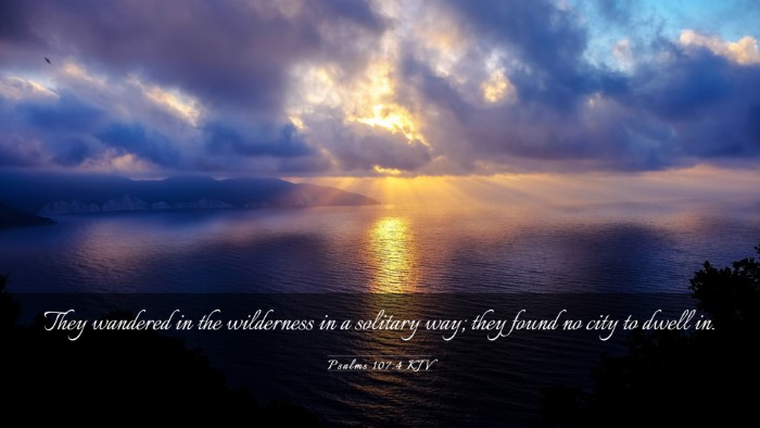 Picture 03 - Psalms 107:4 KJV Desktop Wallpaper - They wandered in the wilderness in a solitary - Desktop Bible Verse Wallpaper