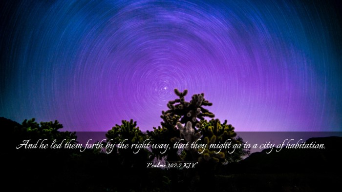 Picture 03 - Psalms 107:7 KJV Desktop Wallpaper - And he led them forth by the right way, that they - Desktop Bible Verse Wallpaper