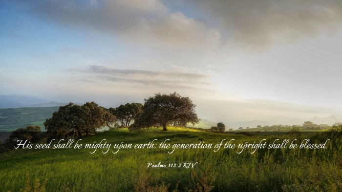Picture 03 - Psalms 112:2 KJV Desktop Wallpaper - His seed shall be mighty upon earth: the - Desktop Bible Verse Wallpaper